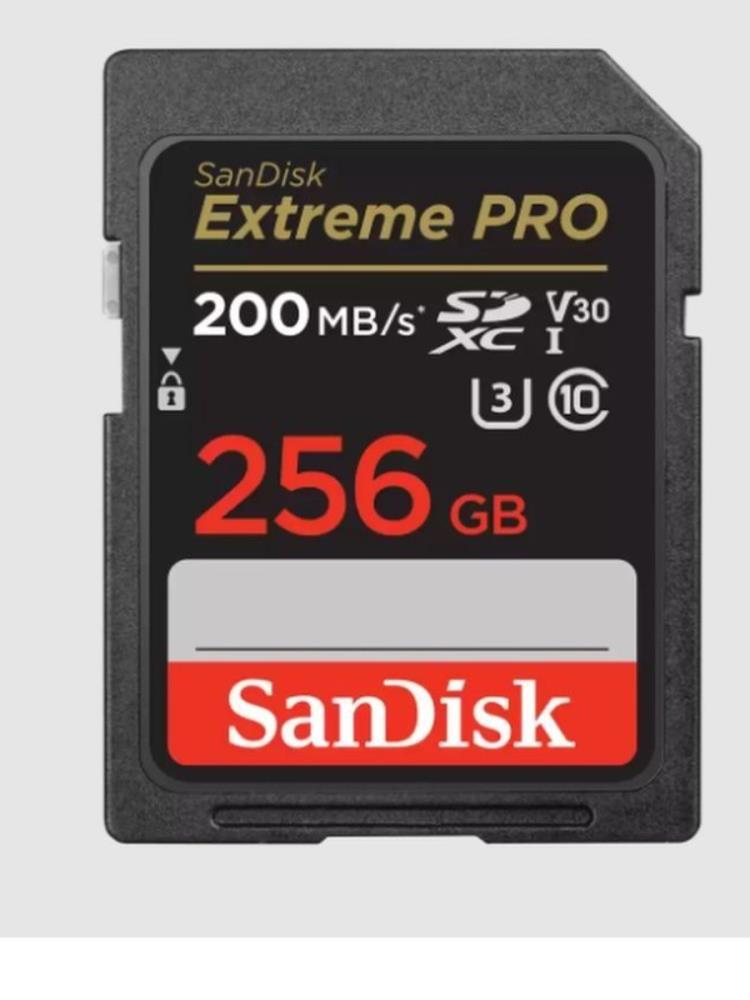 Карта памяти SDXC 256GB UHS-1 SDSDXXD-256G-GN4IN SANDISK - оптом у дистрибьютора ELKO